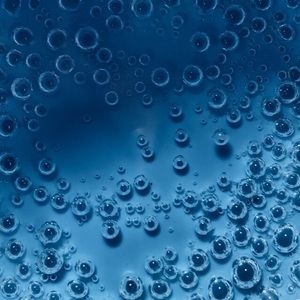 Meet your Posher, Jackson